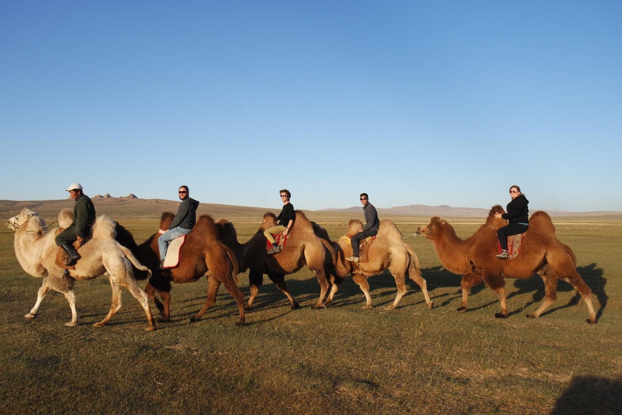 Gobi - Zen Hotell Ulan Bator Exteriör bild